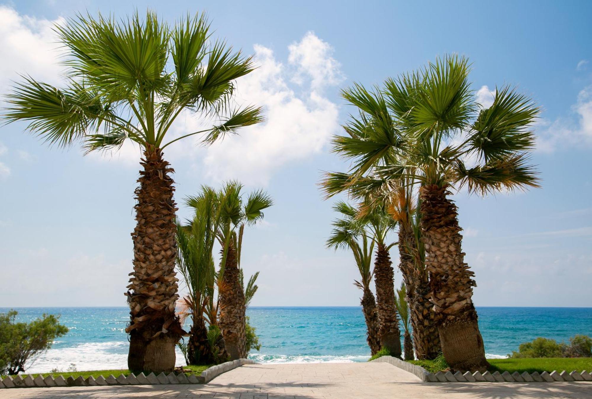 Hotel Louis Paphos Breeze Klorakas Exterior foto